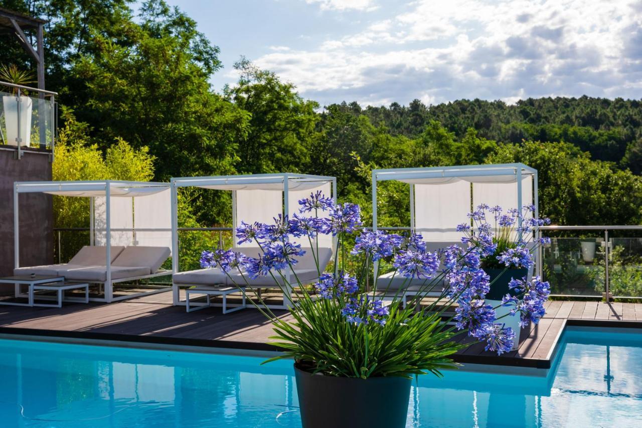 Domaine De Chalveches Hotel Spa 4* Faugeres  Exterior foto